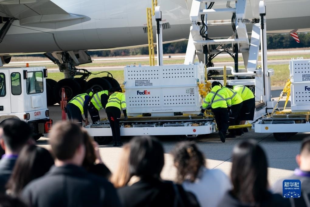 11月8日，在美國(guó)弗吉尼亞州的華盛頓杜勒斯國(guó)際機(jī)場(chǎng)，裝有大熊貓的特制“旅行包廂”準(zhǔn)備運(yùn)上專機(jī)。新華社記者劉杰攝