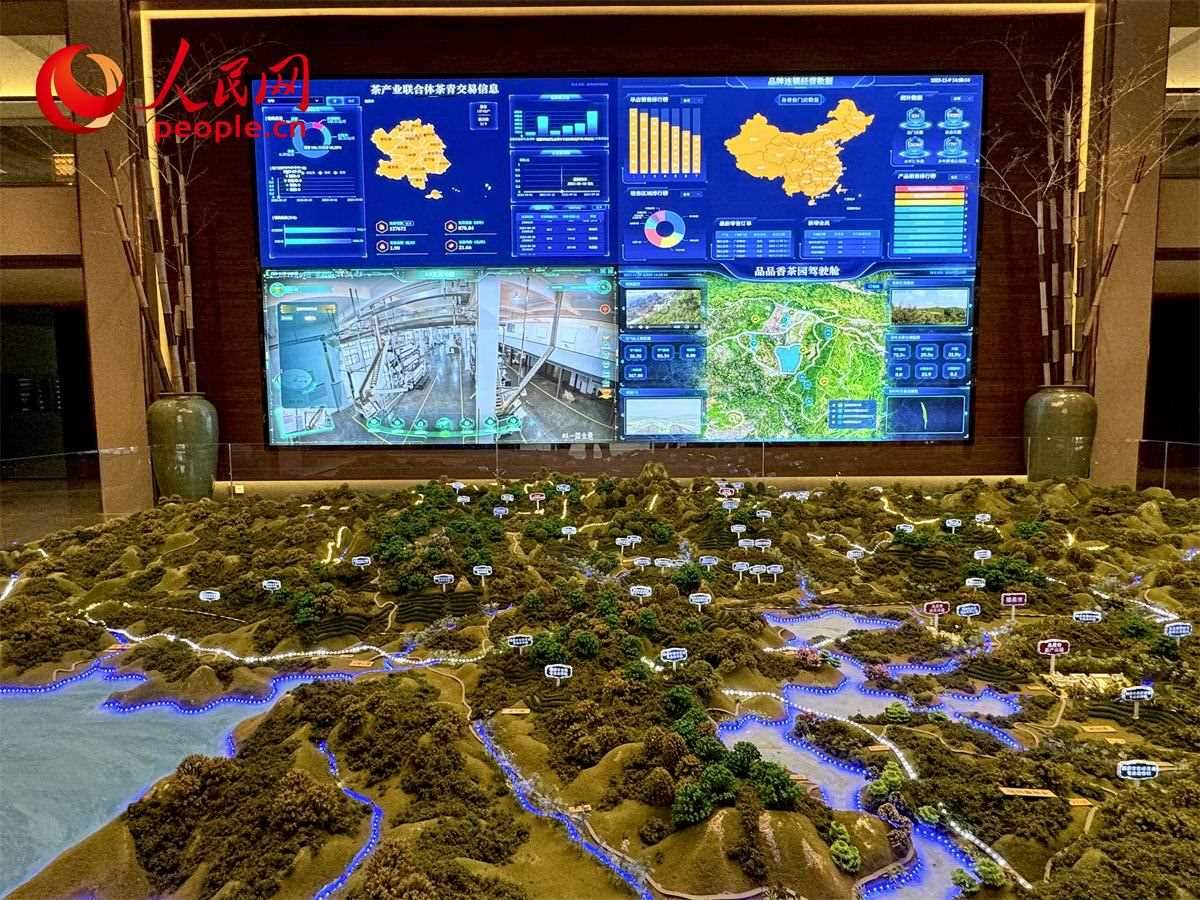 品品香白茶產(chǎn)業(yè)園信息中心數(shù)智化大屏。人民網(wǎng)記者 劉微攝