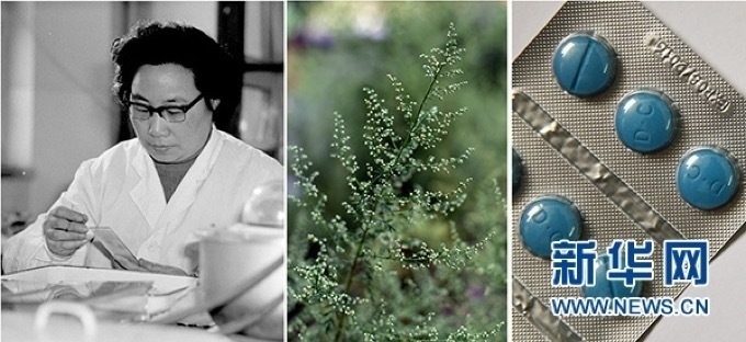 屠呦呦、青蒿和抗瘧疾成藥（拼版資料照片）