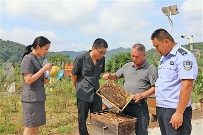  圖②：蒙山法院黃村法庭法官深入蜂蜜合作社，實(shí)地了解蜂農(nóng)需求。