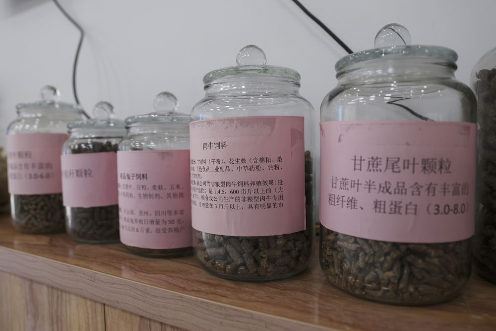 這是12月13日在來賓市興賓區(qū)小平陽鎮(zhèn)一家飼料廠拍攝的以甘蔗尾葉為原料制成的飼料。