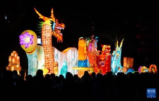 2月11日晚，人們?cè)跐?jì)南市趵突泉公園觀賞花燈。