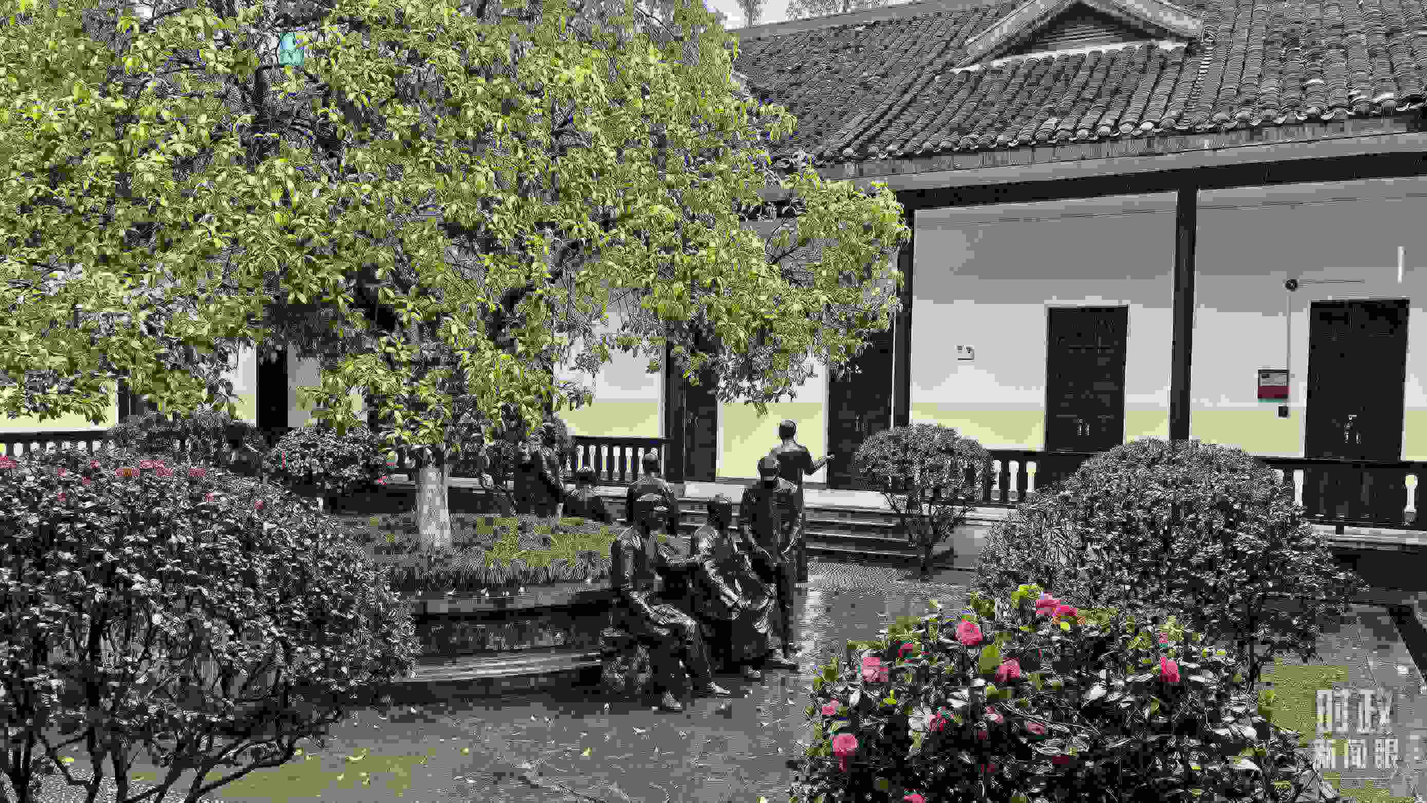 △湖南第一師范學院（城南書院校區(qū)）校園里。（總臺央視記者趙化拍攝）