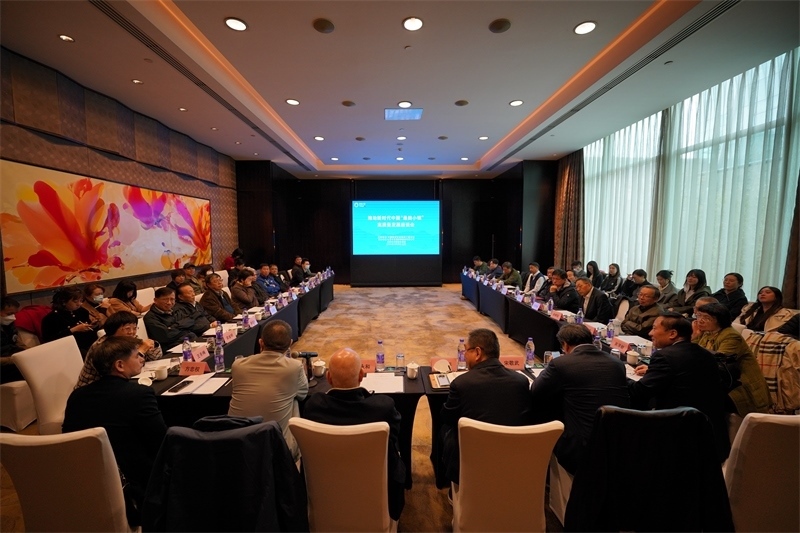 座談會(huì)現(xiàn)場(chǎng)。主辦方供圖