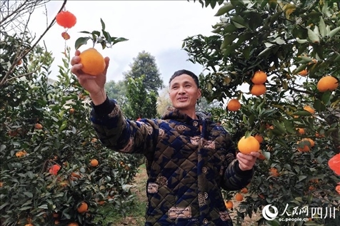 鐵牛村村民趙光進(jìn)。人民網(wǎng)記者 朱虹攝