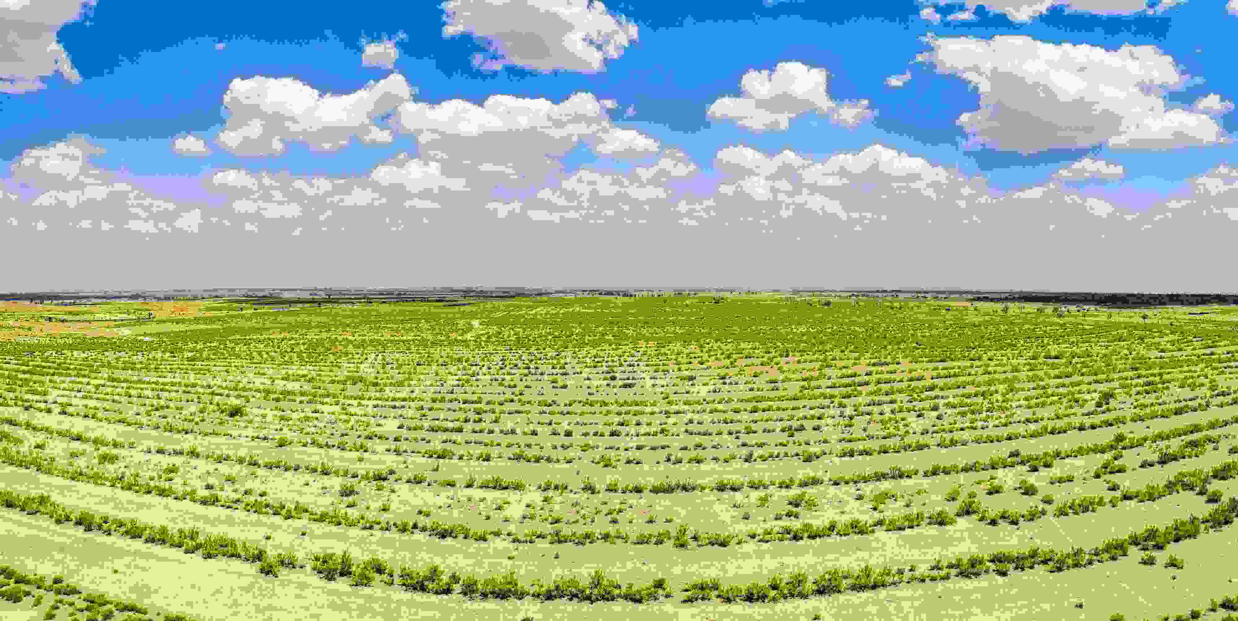 2023年6月7日，內蒙古鄂爾多斯，毛烏素沙漠。