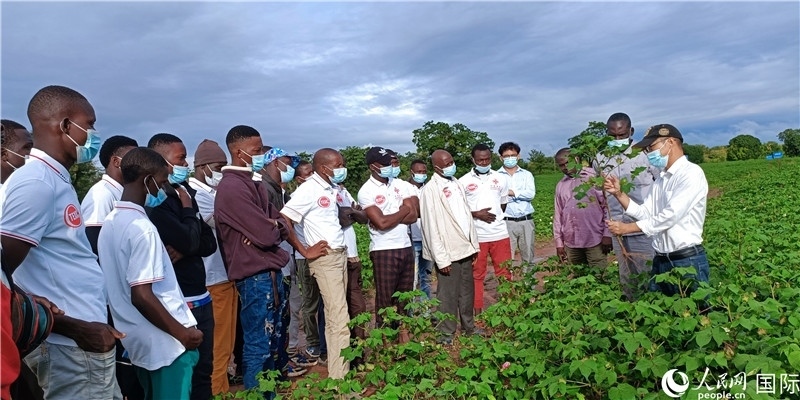 項(xiàng)目組長首小勇向當(dāng)?shù)孛揶r(nóng)做技術(shù)講解。人民網(wǎng)記者 黃培昭攝