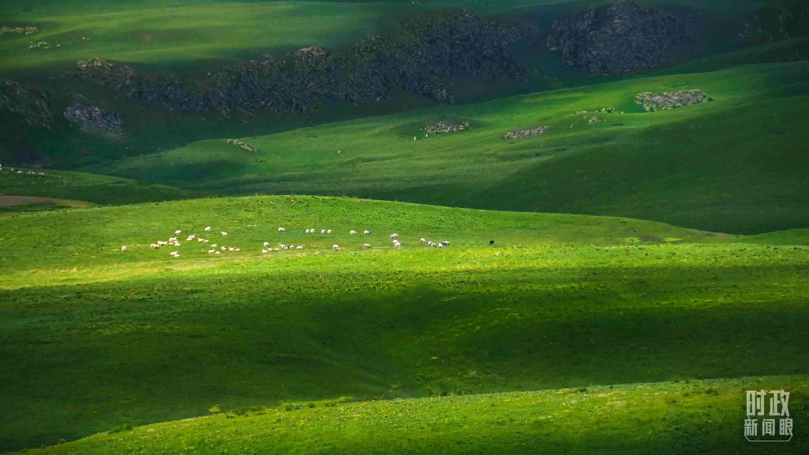 △祁連山草原光影。（圖/視覺中國）