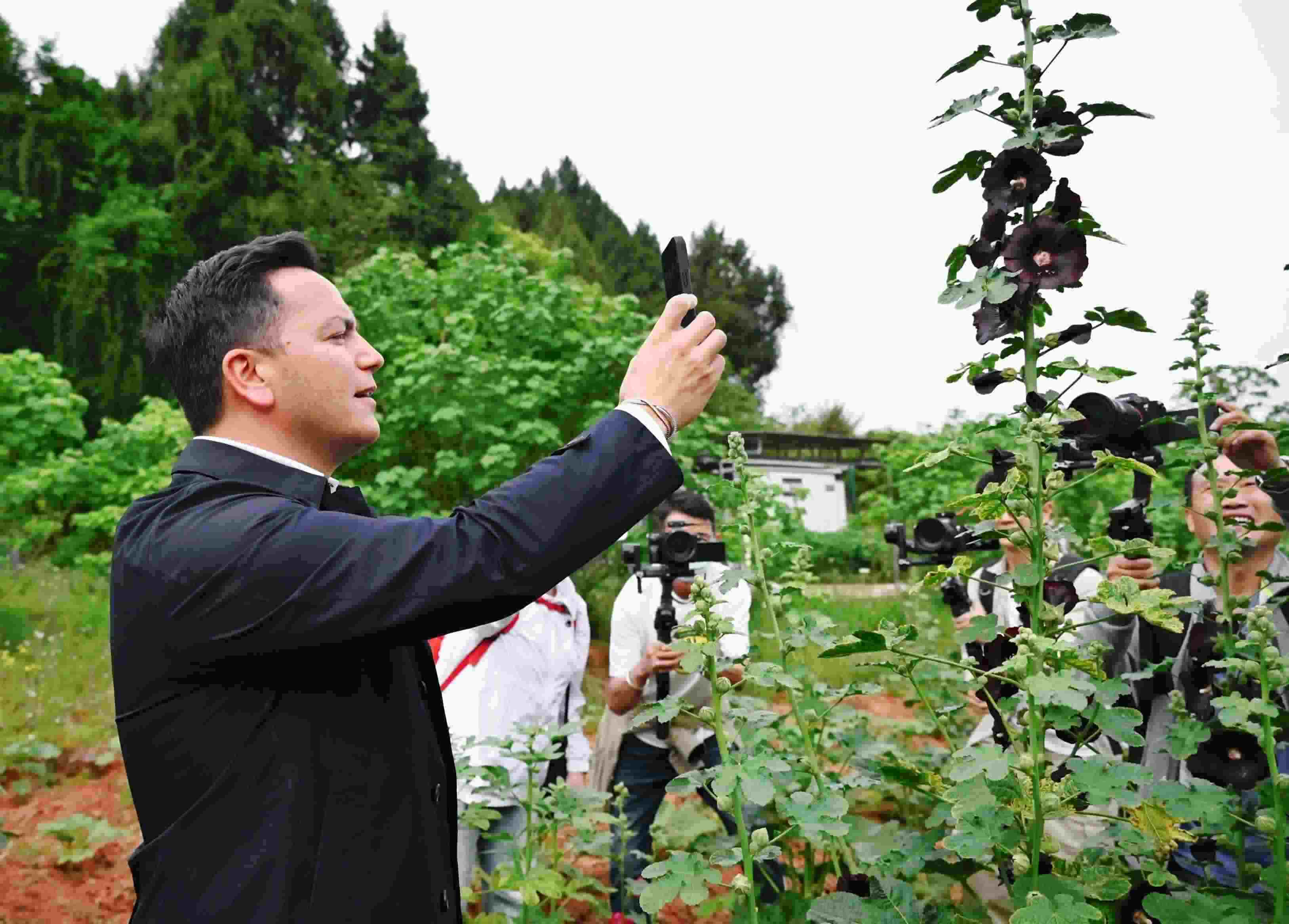  △2024年4月23日，國際園藝生產(chǎn)者協(xié)會(huì)主席萊昂納多·卡皮塔尼奧在成都市金堂縣鮮花山谷景區(qū)考察蜀葵產(chǎn)業(yè)。