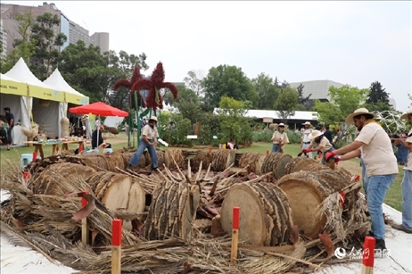 坎波·馬特活動現(xiàn)場。埃內斯托·多明戈斯攝