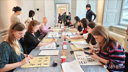 瑞典書法愛好者專心學(xué)習(xí)書法。人民網(wǎng)記者 殷淼攝