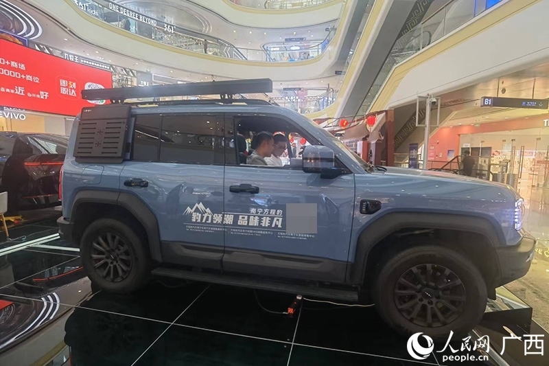 消費(fèi)者在商場選購汽車。人民網(wǎng)記者 陳燕攝