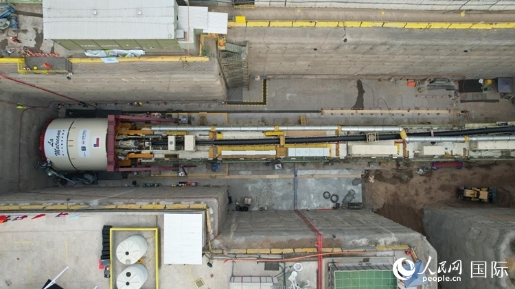 質(zhì)構(gòu)機(jī)全景。陳露明攝