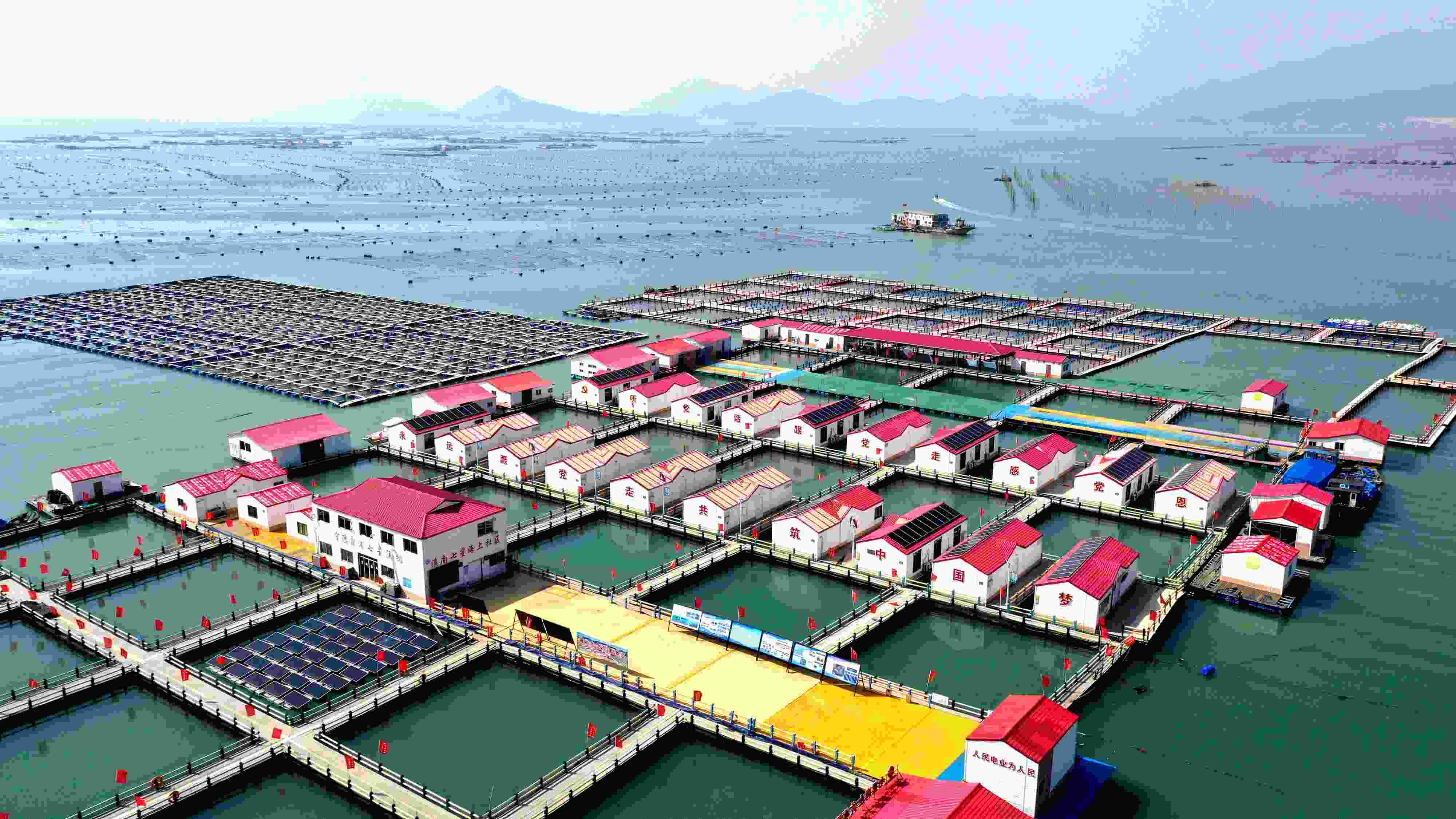 2024年3月20日，福建省寧德市，霞浦縣溪南鎮(zhèn)七星村漁排養(yǎng)殖示范區(qū)，漁民駕駛養(yǎng)殖船進(jìn)行海參養(yǎng)殖作業(yè)。