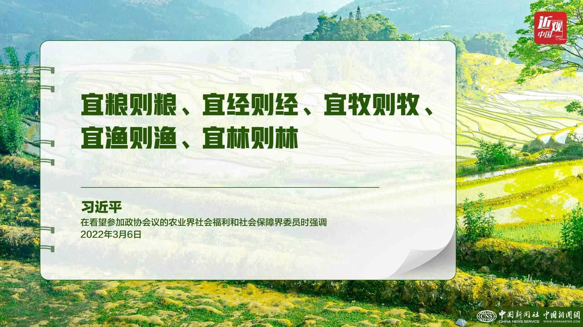 習(xí)近平：樹立大食物觀，構(gòu)建多元化食物供給體系
