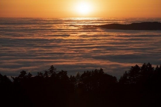 這是5月14日在美國加利福尼亞州馬林縣拍攝的云海。新華社發(fā)（李建國攝）