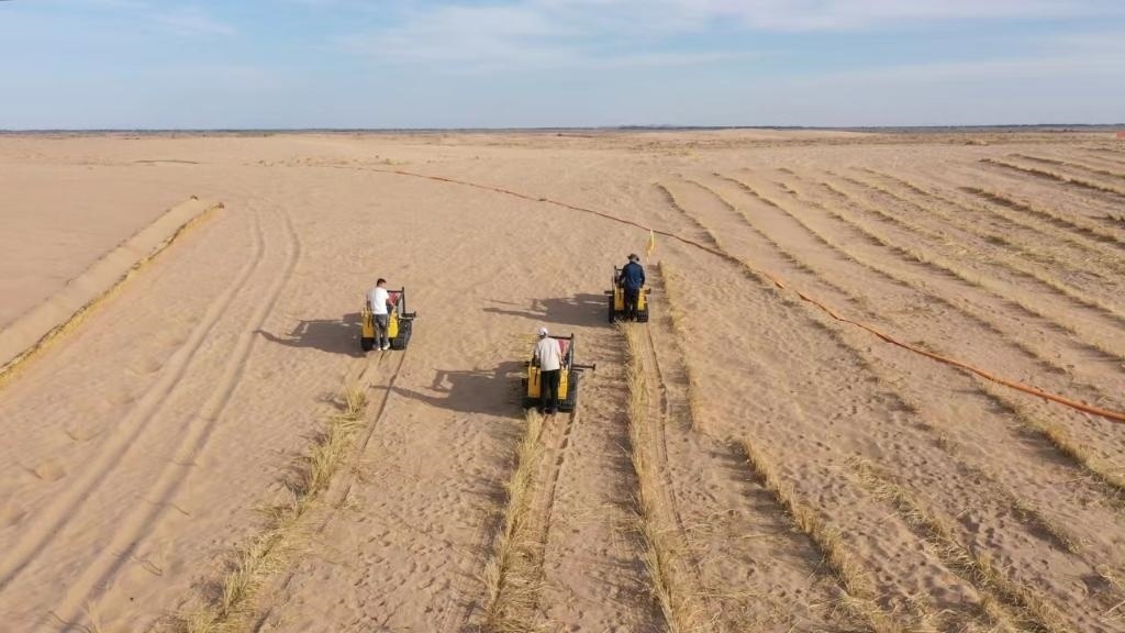 內(nèi)蒙古巴彥淖爾市烏拉特后旗西補隆林業(yè)管護中心職工駕駛機械鋪設壓沙障。新華社記者 李云平 攝