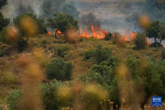 6月12日，以色列北部加利利地區(qū)遭受火箭彈襲擊后冒出滾滾濃煙。新華社發(fā)（阿亞爾·馬戈林?jǐn)z/基尼圖片社）
