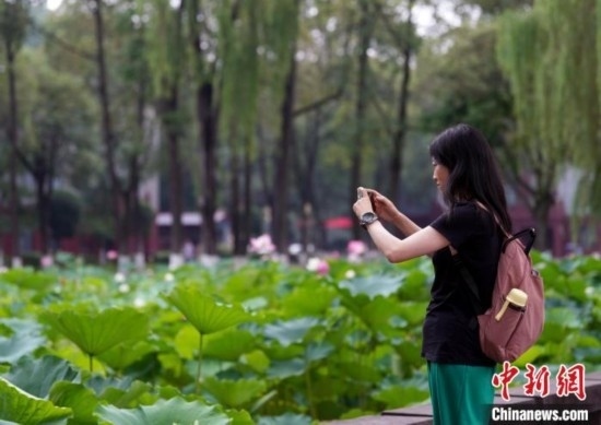 6月19日，時(shí)值一年畢業(yè)季，四川大學(xué)望江校區(qū)荷花池里的荷花盛開，成為了畢業(yè)生們的打卡圣地，吸引了眾多畢業(yè)生拍照留念。圖為畢業(yè)生在荷花池邊拍照留念。中新社記者 安源 攝