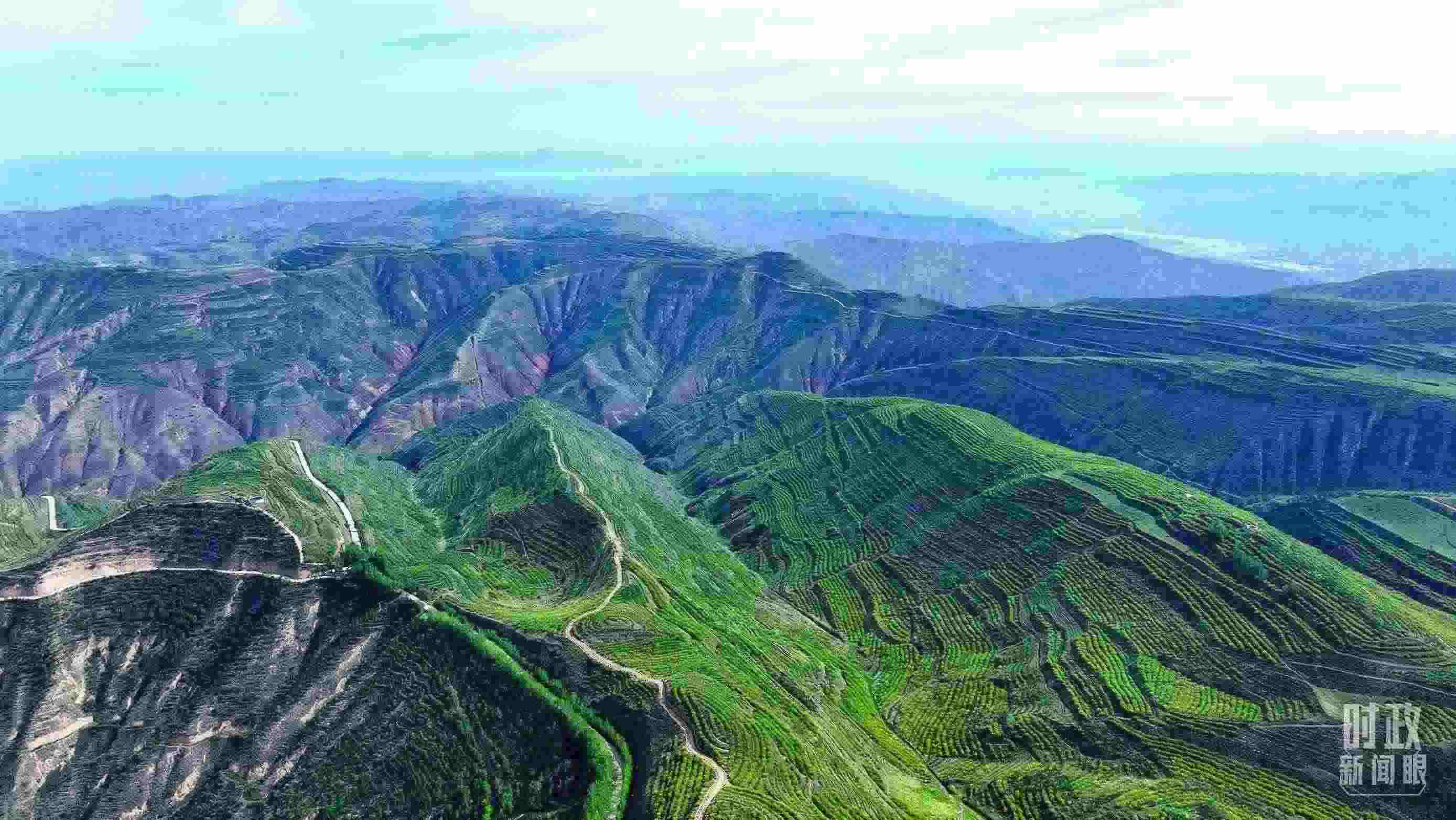 △青海西寧。（總臺記者柳成拍攝）