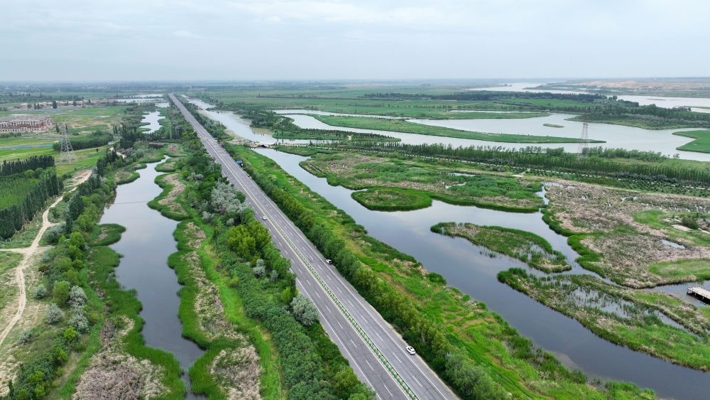 這是2024年6月13日拍攝的黃河寧夏段濱河大道（無人機照片）。近年來，寧夏努力建設(shè)黃河流域生態(tài)保護和高質(zhì)量發(fā)展先行區(qū)，全力打好黃河保護持久戰(zhàn)。新華社記者 王鵬 攝