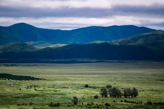 2023年8月4日拍攝的大興安嶺南麓內(nèi)蒙古罕山國(guó)家級(jí)自然保護(hù)區(qū)風(fēng)光。新華社記者 連振 攝