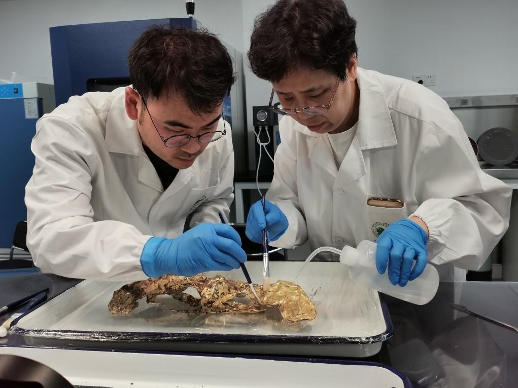 2023年7月，馬燕如（右）帶著魯海子（左）修復(fù)三星堆遺址出土的黃金面具。新華社發(fā)（四川省文物考古研究院供圖）