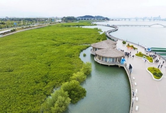 2024年1月23日拍攝的廈門市翔安區(qū)下潭尾紅樹林公園（無人機(jī)照片）。新華社記者 林善傳 攝