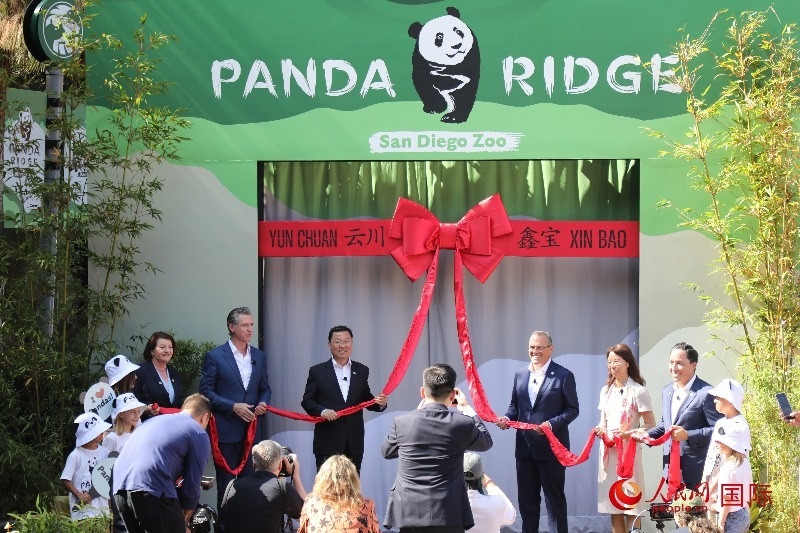 1、中國駐美國大使謝鋒、加州州長紐森、圣迭戈市市長格洛利亞等人共同為“熊貓嶺”開館剪彩。 人民網(wǎng)記者 李志偉攝