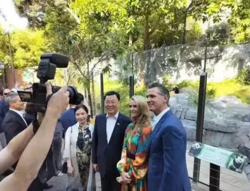 謝鋒大使及夫人與加州州長紐森夫婦在圣迭戈動(dòng)物園大熊貓館前合影。圖片為中國駐美大使館提供