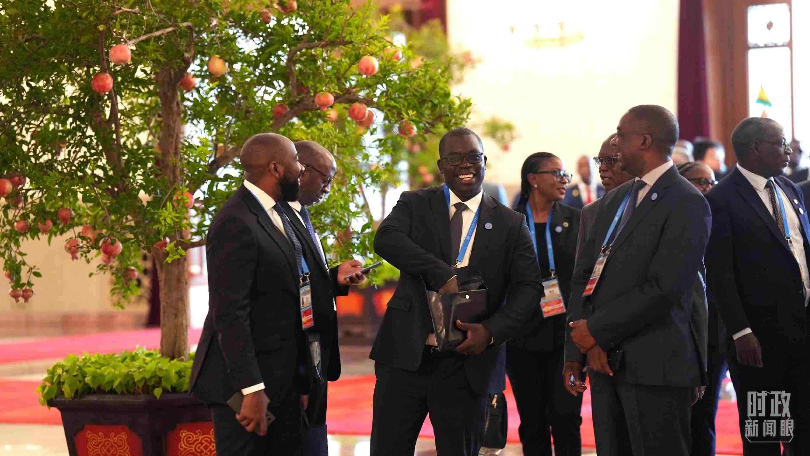 出席中非合作論壇北京峰會的非洲國家代表。（總臺記者李晉拍攝）