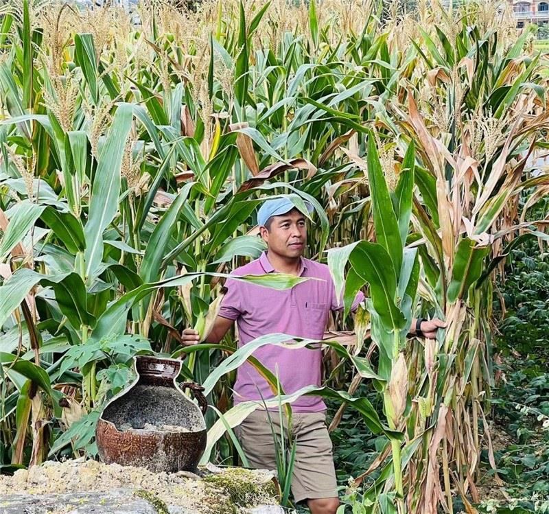 不是攀登石林高臺(tái)，就是鉆入玉米莊稼地，吉爾吉斯斯坦《自由之山報(bào)》總編輯納拉雷·阿桑巴耶夫“身手不凡”，與生長旺盛的玉米構(gòu)成了花茂村的鄉(xiāng)間野趣。（張亞欣攝）