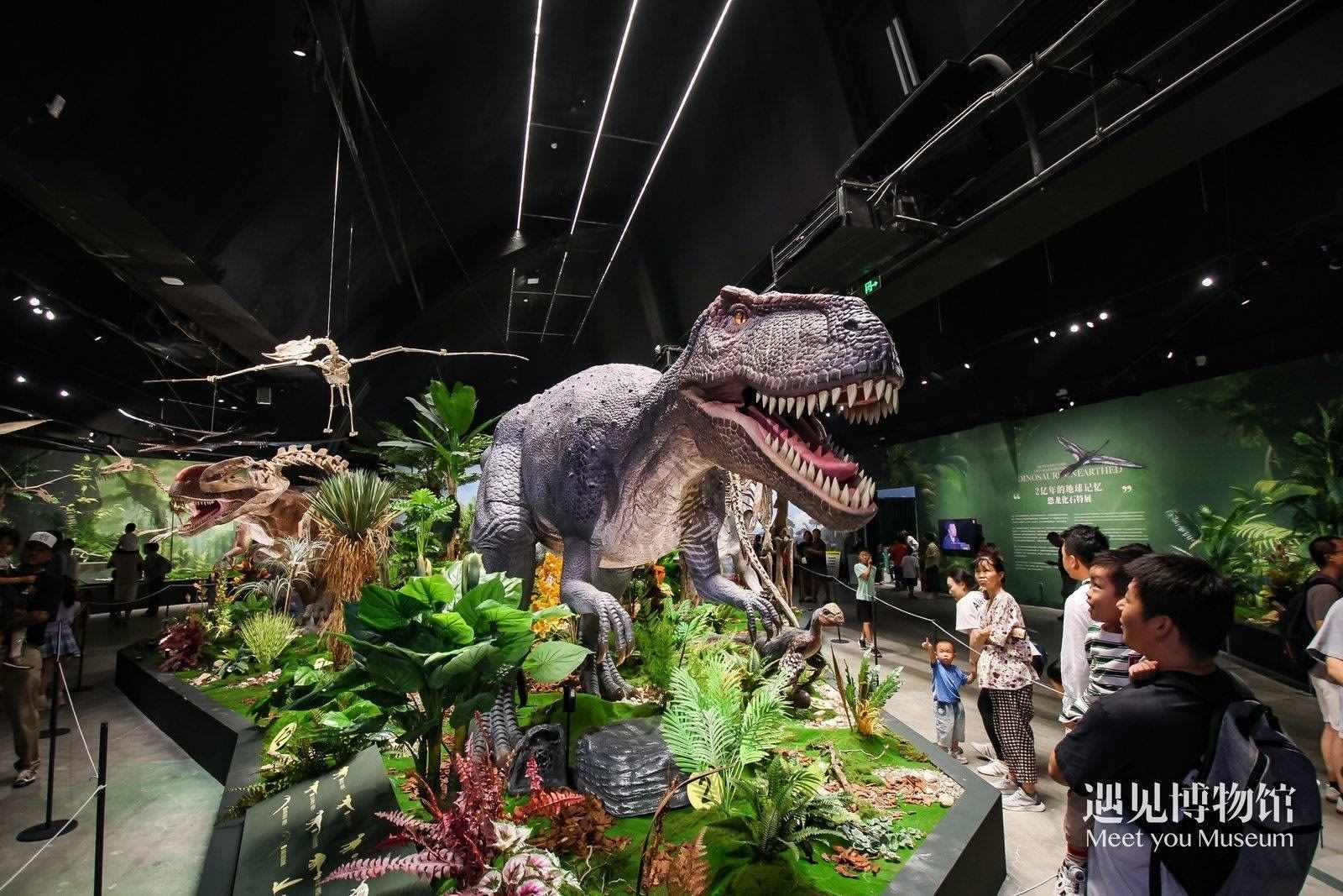 2. 游客參觀“2億年的地球記憶——恐龍化石特展”。遇見博物館供圖