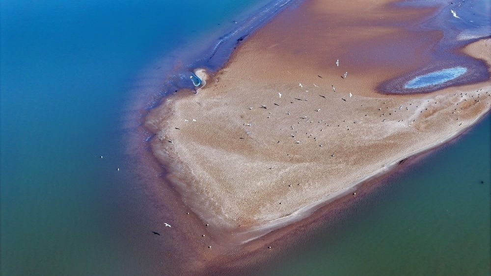 2024年3月1日拍攝的黃河寧夏段（無人機照片）。