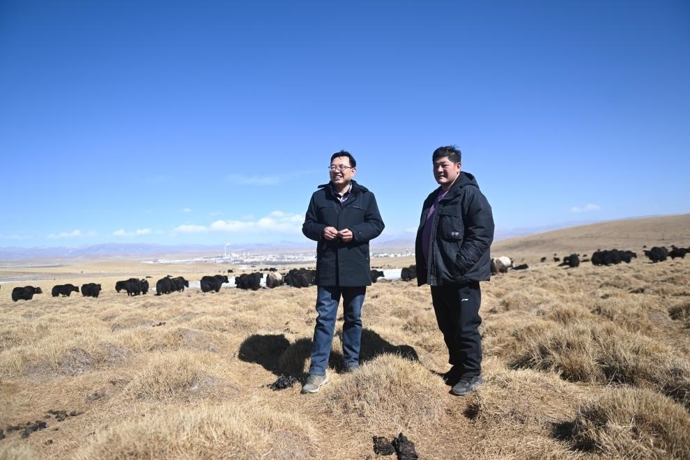 2023年2月24日，在青海省海北藏族自治州海晏縣青海湖鄉(xiāng)達玉日秀村，全國人大代表董全民（左）查看牧民東知布家的草場。新華社記者 張龍 攝