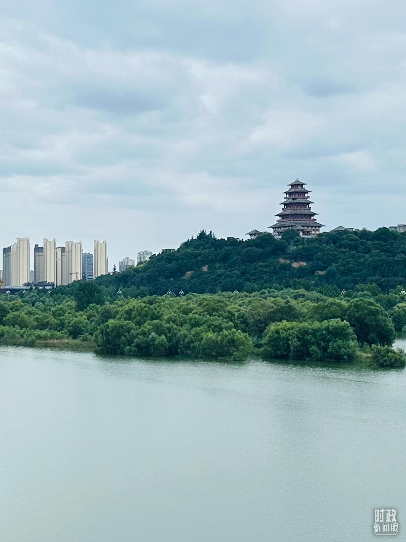 △渭河寶雞段長224公里，目前建成17處渭河灘區(qū)生態(tài)涵養(yǎng)區(qū)。（總臺(tái)央視記者范一鳴拍攝）