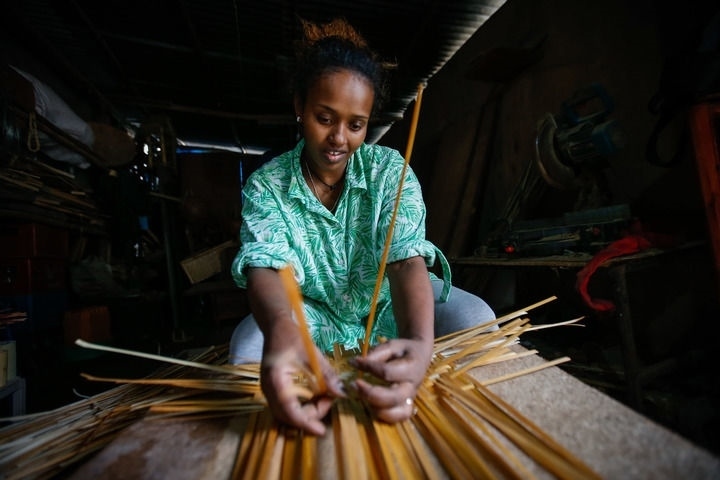 2024年8月10日，菲基爾特·加布雷在埃塞俄比亞首都亞的斯亞貝巴名為“綠色金子”的竹藤工作室里加工竹制產(chǎn)品。新華社發(fā)（邁克爾·特韋爾德 攝）