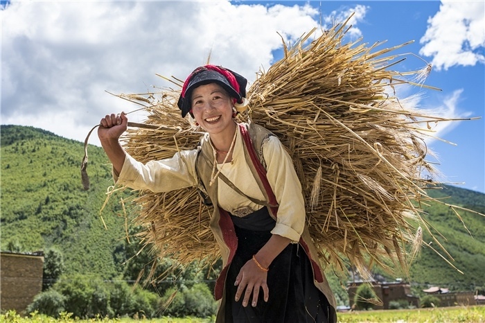 康定市甲根壩鎮(zhèn)青稞豐收，農(nóng)牧民臉上洋溢著豐收的喜悅。林革文攝