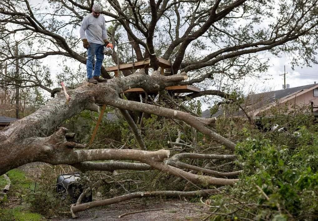 2021年8月30日，在美國路易斯安那州霍馬，一名男子站在被颶風(fēng)吹倒的大樹上。新華社發(fā)（尼克·瓦格納 攝）