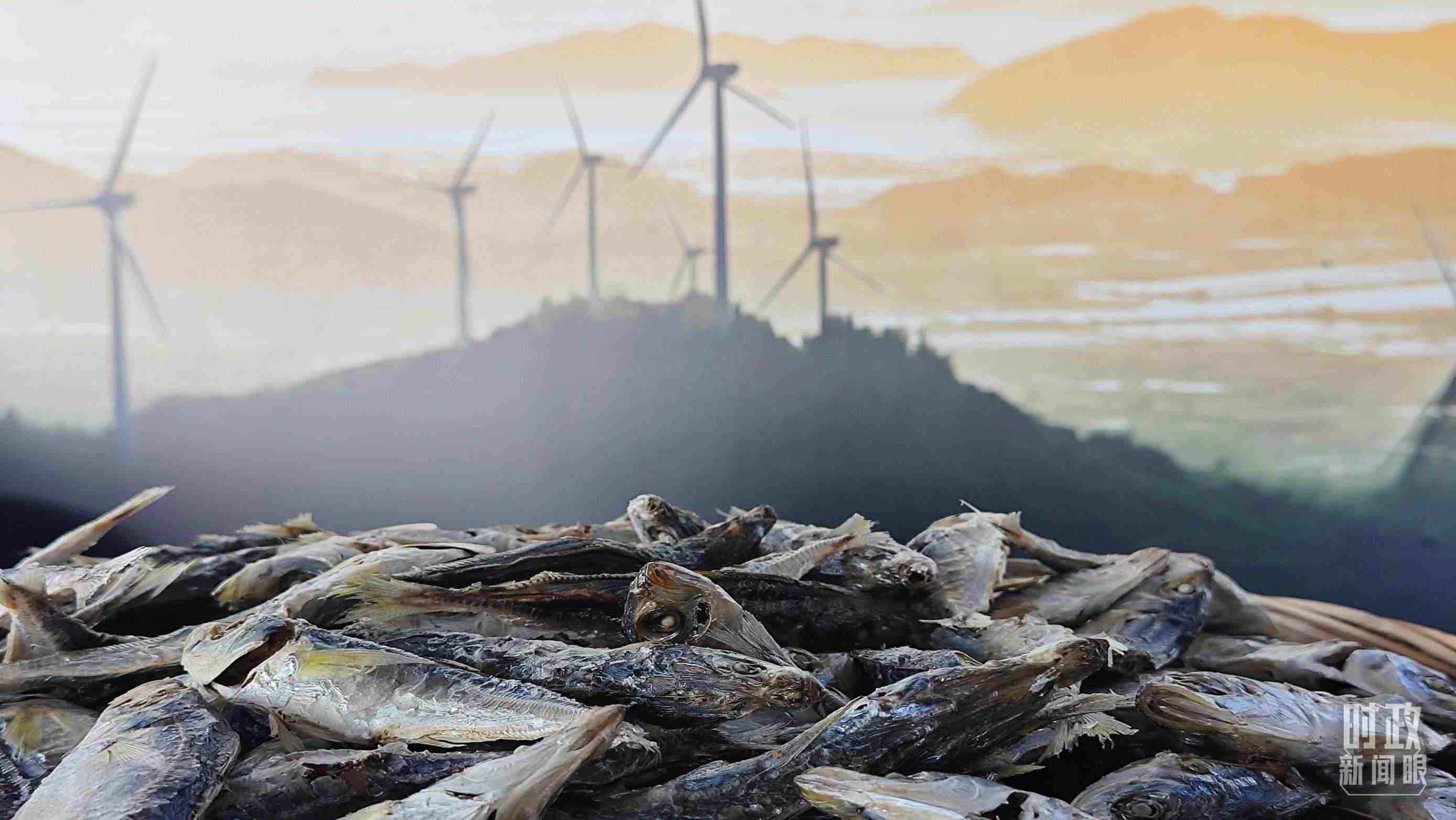 △澳角村的海產(chǎn)品。（總臺央視記者許永松拍攝）