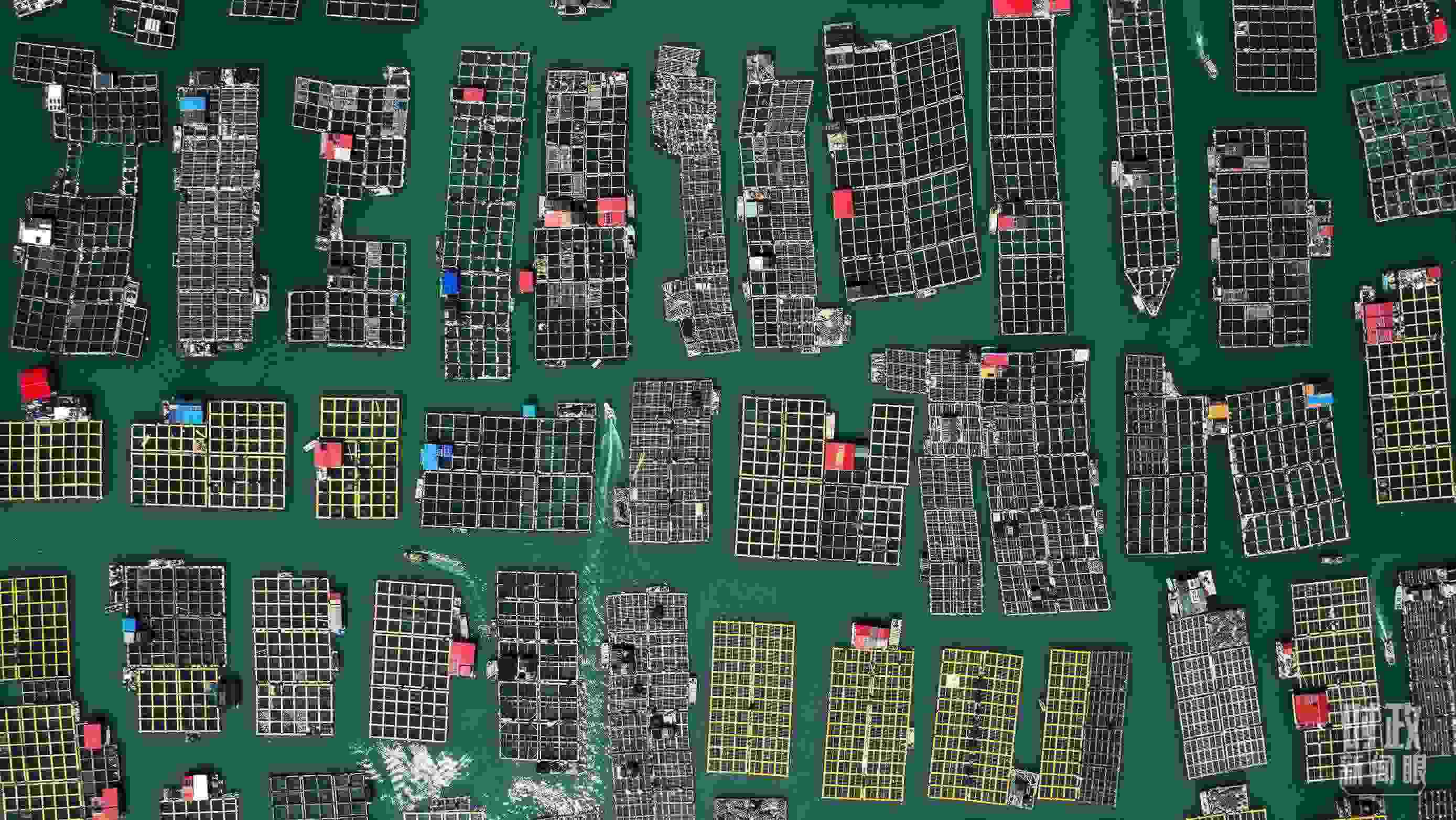 △澳角村。（總臺記者李晉拍攝）