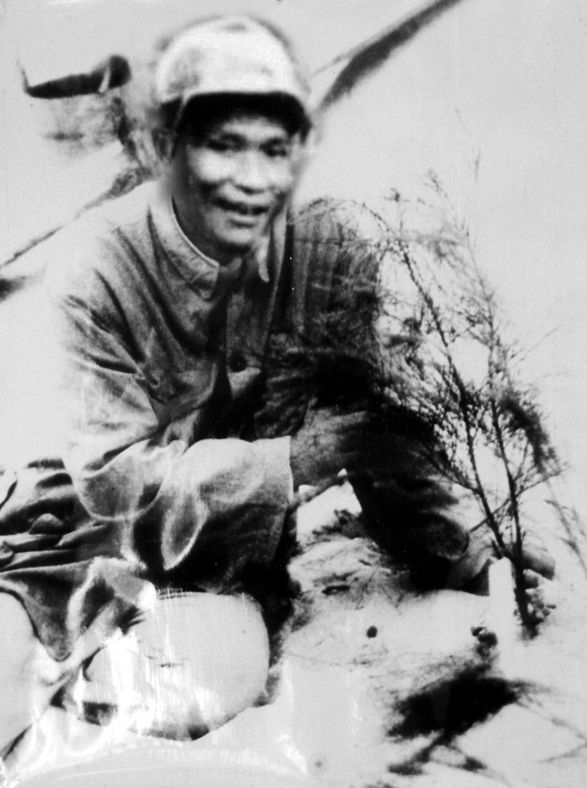 谷文昌與試種成活的木麻黃（資料照片）。為了治沙，谷文昌爬遍了東山縣400多個(gè)山頭，踏遍了30多公里的沙灘，終于帶領(lǐng)東山人民試種木麻黃成功。