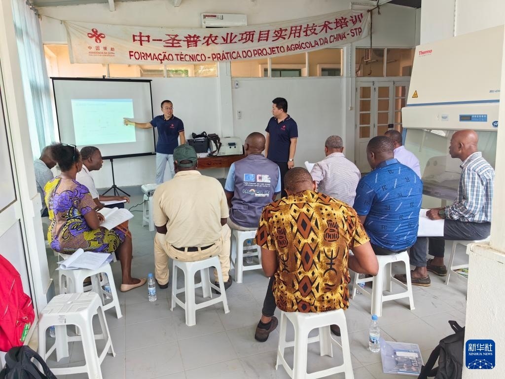 中國援圣普農(nóng)牧業(yè)技術(shù)項目組專家段振華（后左）在圣多美和普林西比的國家獸醫(yī)實驗室開展動物疫病監(jiān)測技術(shù)培訓(xùn)（2024年6月21日攝）。新華社發(fā)（中國援圣普農(nóng)技組供圖）