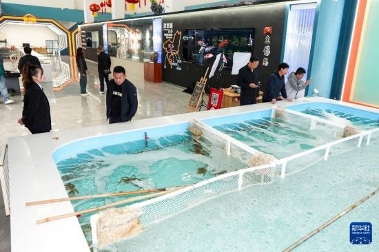 9月20日，游客在吉林省琿春市的帝王蟹保稅店內(nèi)選購(gòu)帝王蟹。新華社記者 許暢 攝