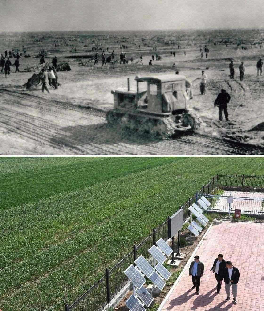 上圖為二十世紀六十年代蘭考改造鹽堿地的情景（資料照片）；下圖為2024年4月18日拍攝的蘭考縣紅廟鎮(zhèn)高標準農(nóng)田示范區(qū)。（新華社記者 朱祥 攝）