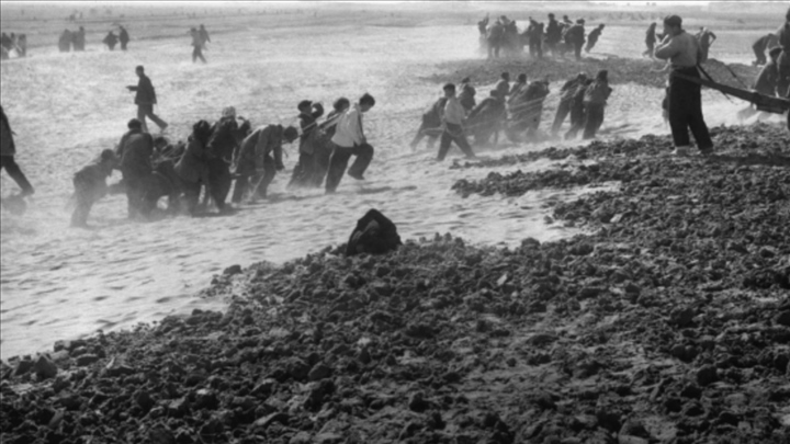 蘭考群眾在拉淤土壓沙。（新華社記者 鄧歷耕 攝）