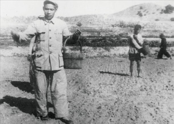 △ 谷文昌在福建省東山縣坑北村參加播種。