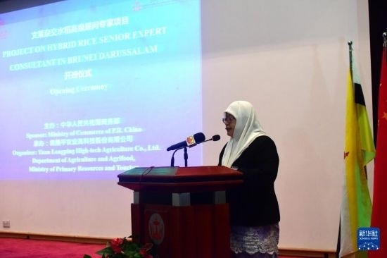 10月26日，文萊初級資源與旅游部常任秘書圖蒂亞蒂在斯里巴加灣市出席中國與文萊雜交水稻高級專家顧問項目啟動儀式。新華社記者 李萌 攝