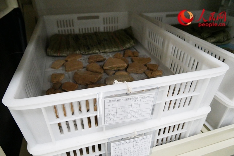已經(jīng)整理完畢的文物標本。人民網(wǎng)記者 韋衍行攝