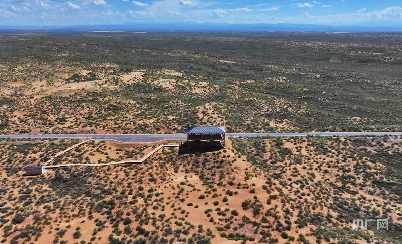 古浪縣一代代人治沙不息，讓綠色向沙漠深處不斷延伸（央廣網(wǎng)記者 李紅軍 攝）